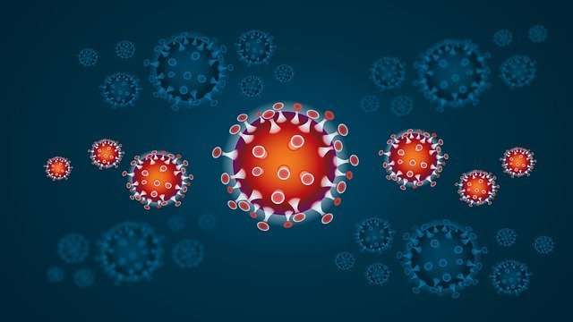 Covid-19 medicine developed by biotech scaleup, ready for final clinical trial – urgent call for scientists and investors